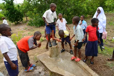 DSC_9513 (Large).JPG